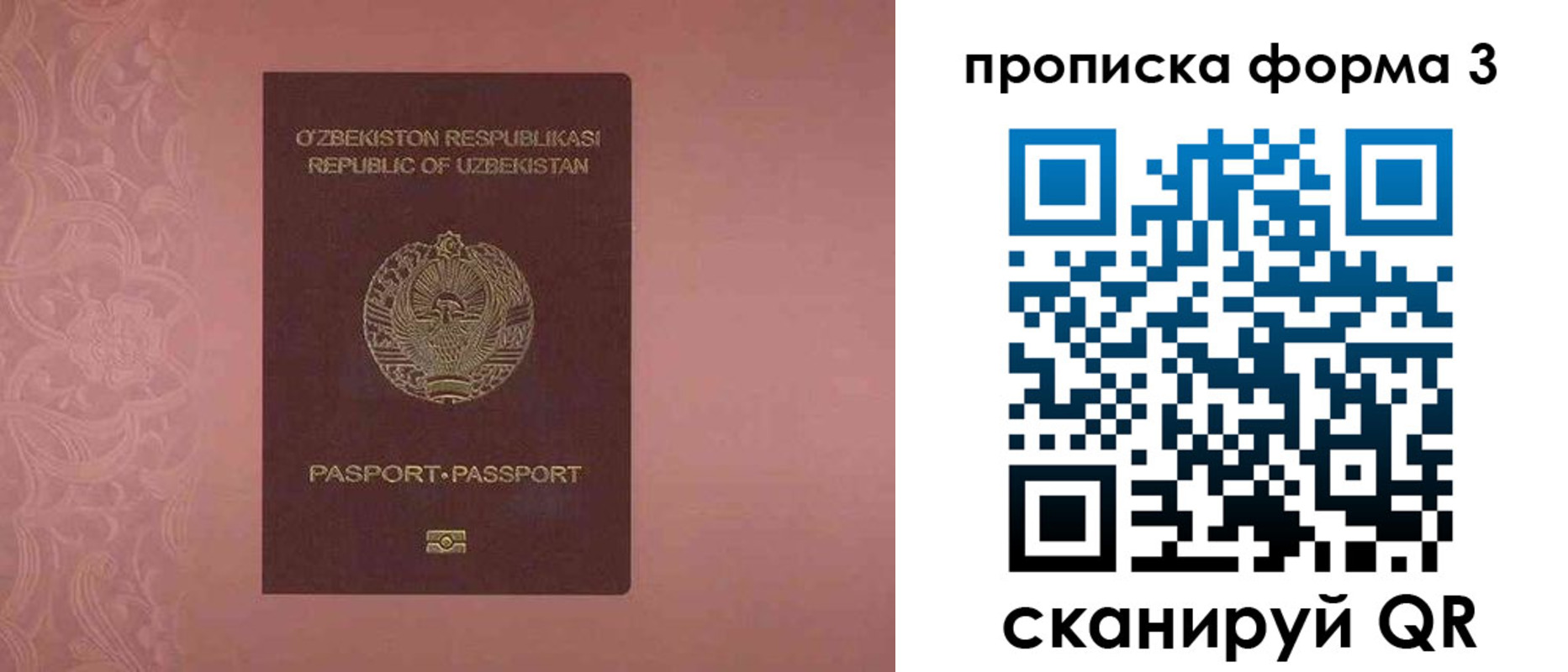 регистрация в Новозыбкове